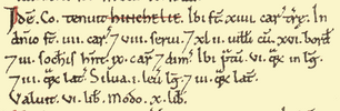 domesday book hinckley