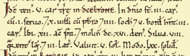 domesday book earl shilton