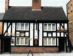 the black horse