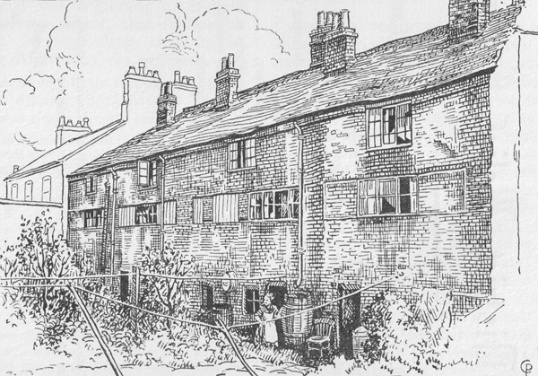 Rear view of Cabbage Row (drawing by Cicely Pickering, 1930s)