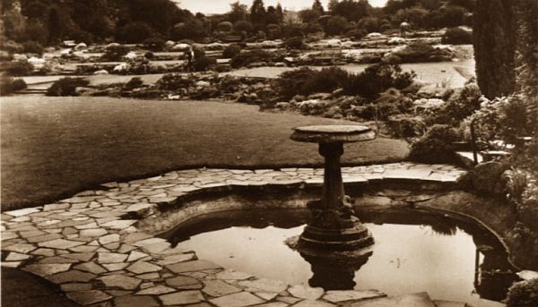 The rock gardens, Hollycroft Park, about 1935