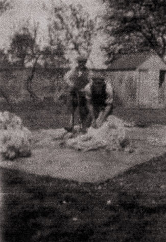 Down on the Farm