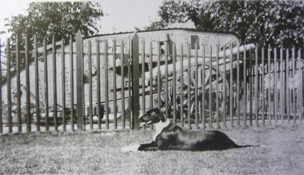 The Hinckley Tank and Field Cannon at Granville Gardens